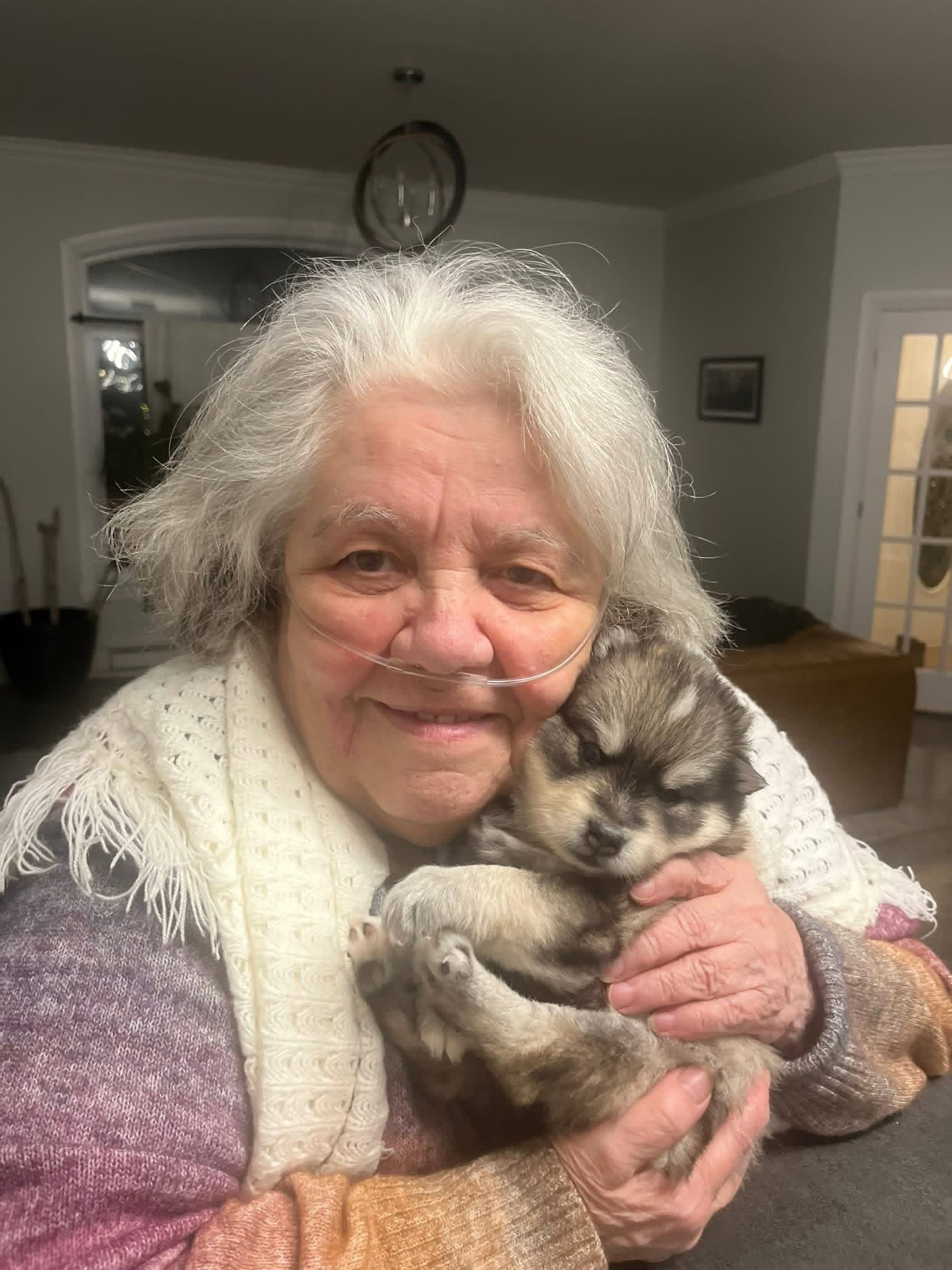 Photo Pomsky